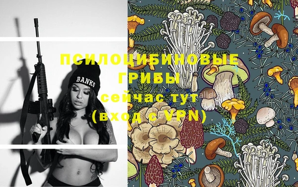 спиды Абаза