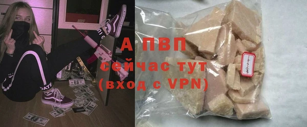 спиды Абаза