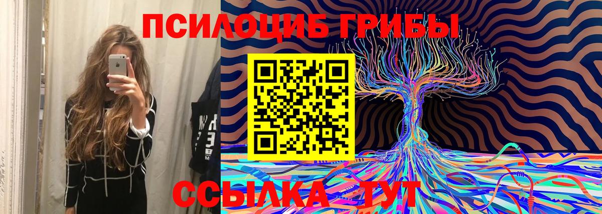 как найти закладки  Галлюциногенные грибы Psilocybe  Стерлитамак  Вход с VPN  Псилоцибиновые грибы Psilocybe 