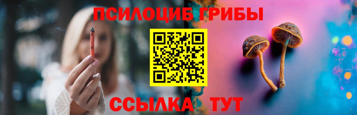 Псилоцибиновые грибы прущие грибы Стерлитамак