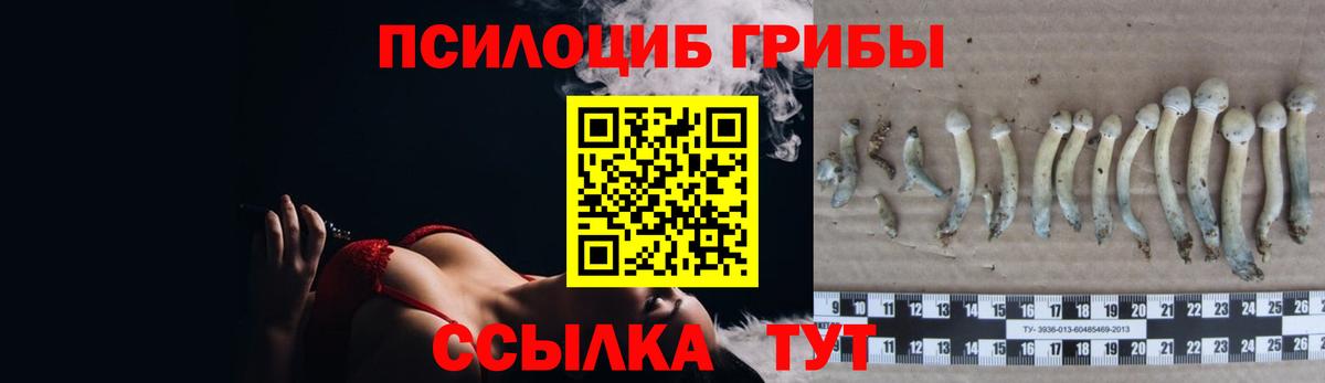 MDMA  Вход с VPN  Cocaine  ГАШ  ГАШ  Меф кристаллы  ЭКСТАЗИ  Стерлитамак  Конопля  А ПВП СК кристаллы 